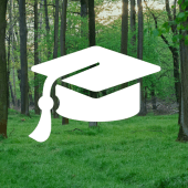 Small Town And Rural